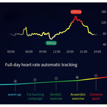 Load image into Gallery viewer, DREAM SPORT DB202 Smart Bracelet Lood Oxygen Monitoring ECG Testing